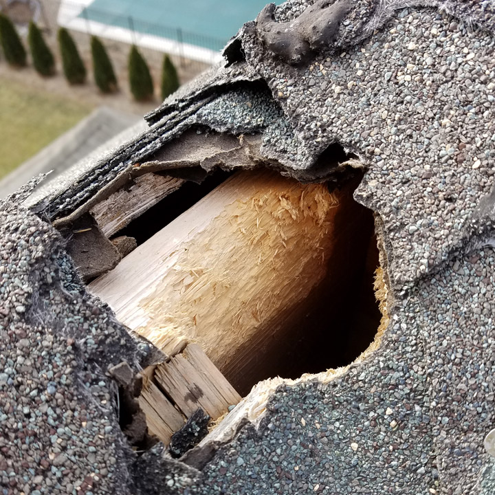 animal-damage-repair Wild Animal Damage